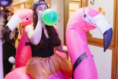 IMG_8742